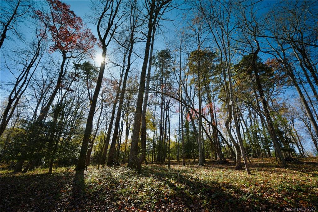 14 Woodtrail Way Arden NC 28704