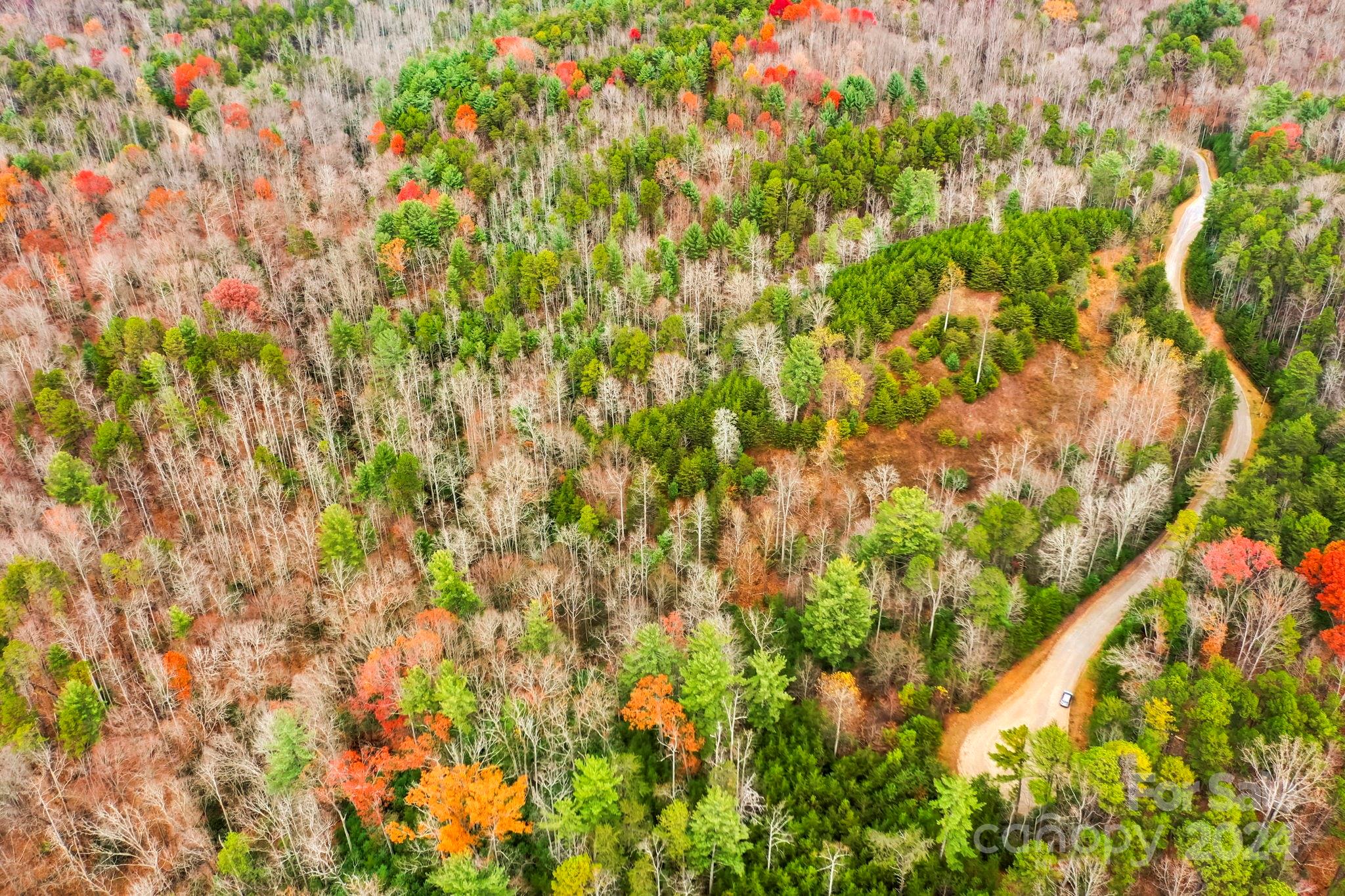 0 Wheel Team Trail S McGrady NC 28649