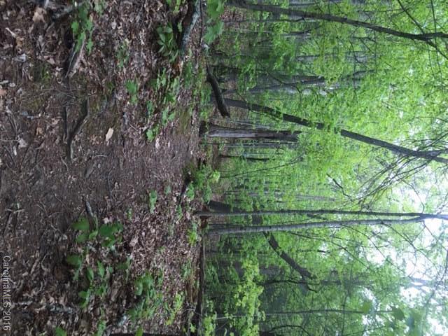 47 Forest Glen Trail Asheville NC 28805