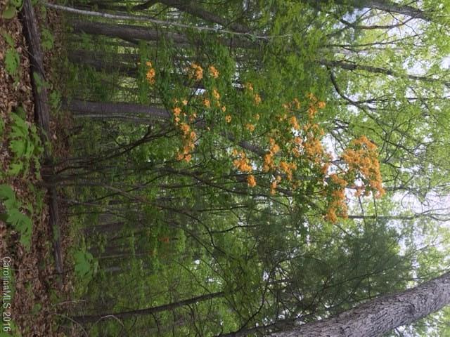 47 Forest Glen Trail Asheville NC 28805