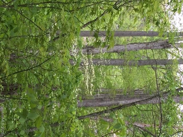 47 Forest Glen Trail Asheville NC 28805