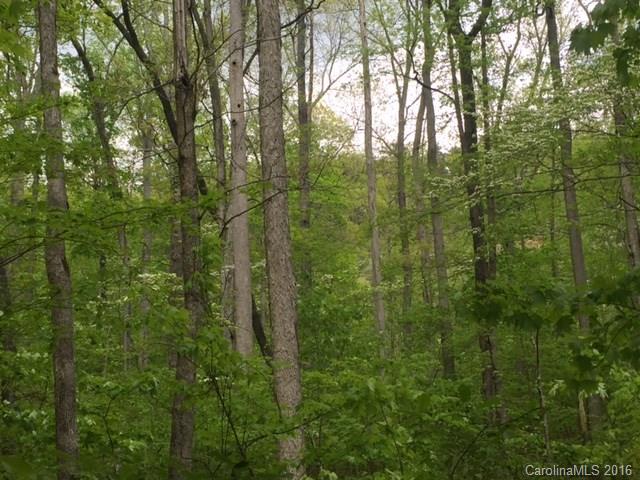 47 Forest Glen Trail Asheville NC 28805