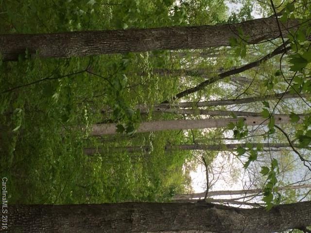 47 Forest Glen Trail Asheville NC 28805