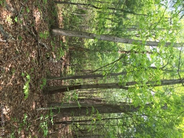 47 Forest Glen Trail Asheville NC 28805