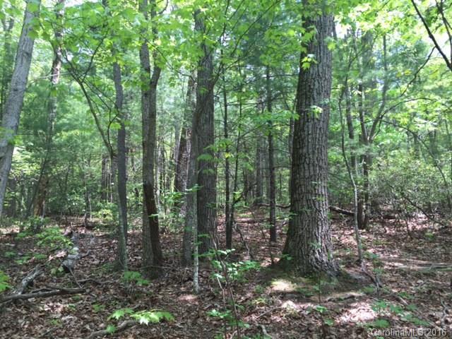 47 Forest Glen Trail Asheville NC 28805