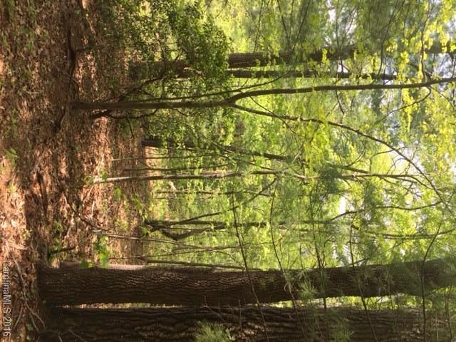 47 Forest Glen Trail Asheville NC 28805