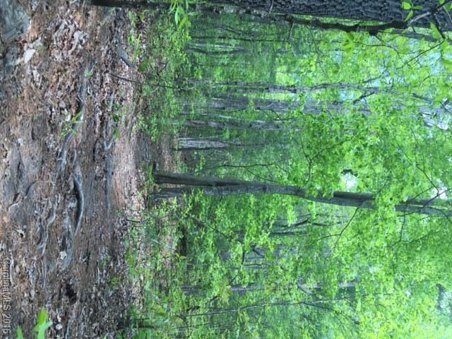 47 Forest Glen Trail Asheville NC 28805