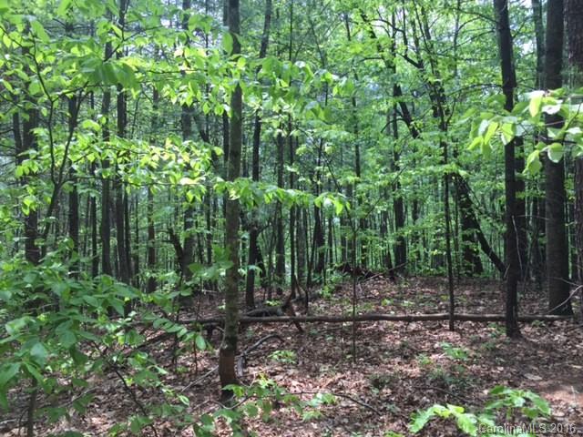 47 Forest Glen Trail Asheville NC 28805