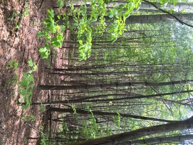 47 Forest Glen Trail Asheville NC 28805