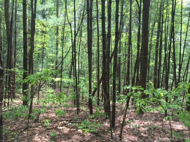 47 Forest Glen Trail Asheville NC 28805
