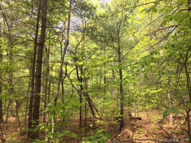 47 Forest Glen Trail Asheville NC 28805