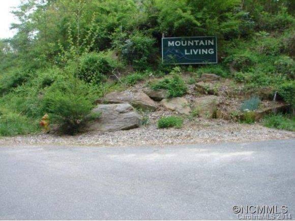 4 Stoney River Path Asheville NC 28804
