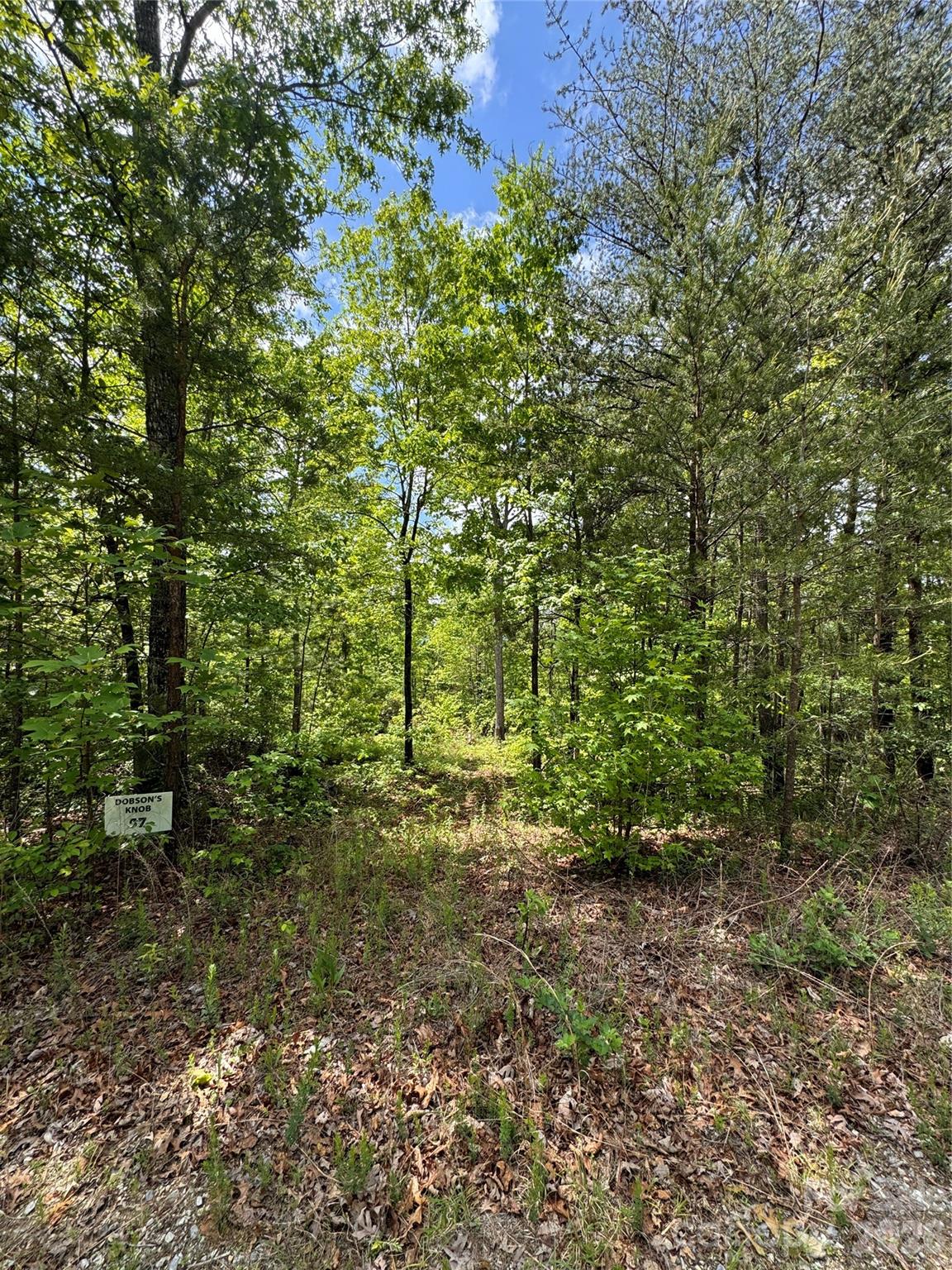 34 Montgomery Drive Marion NC 28752