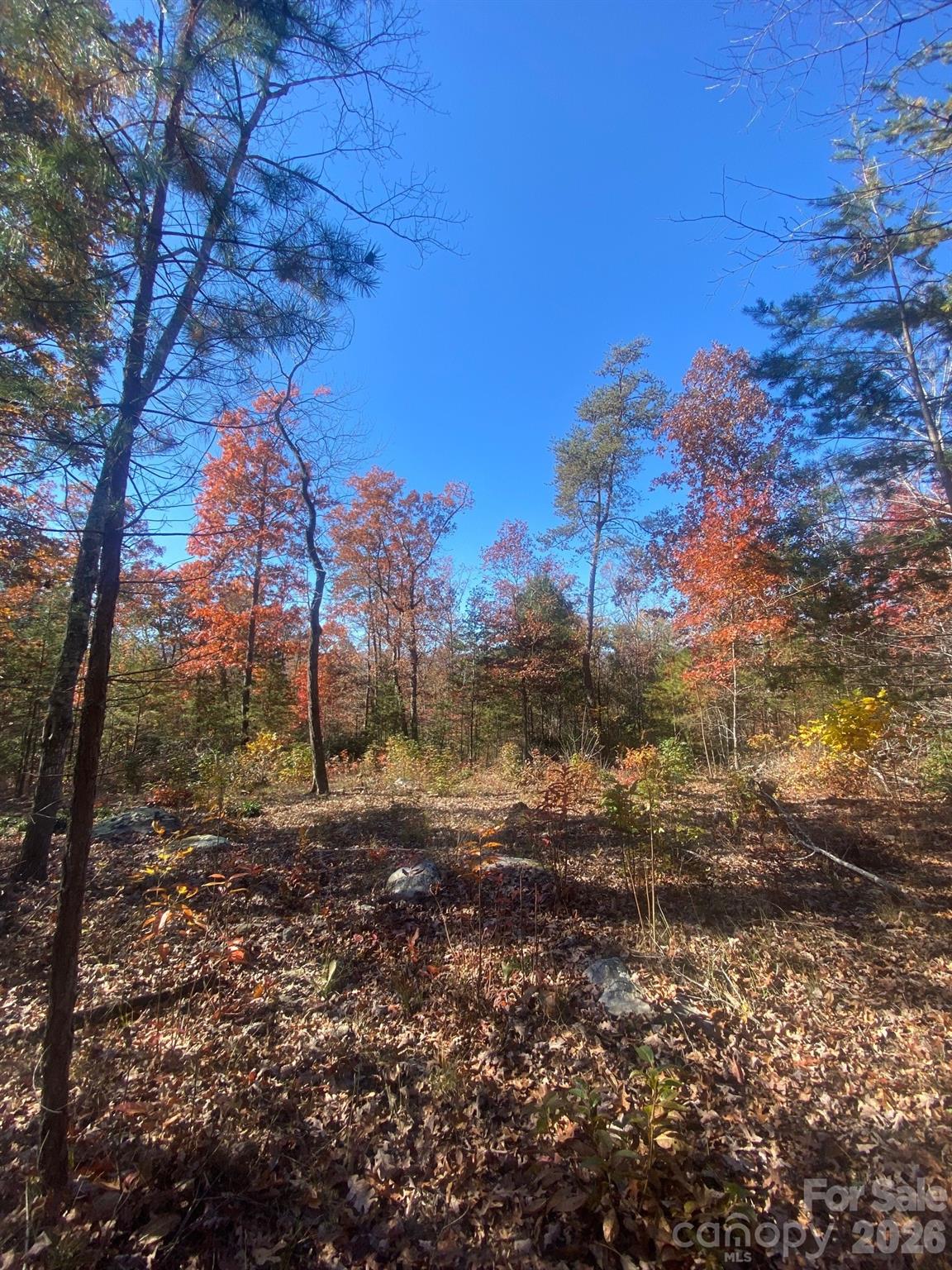 34 Montgomery Drive Marion NC 28752