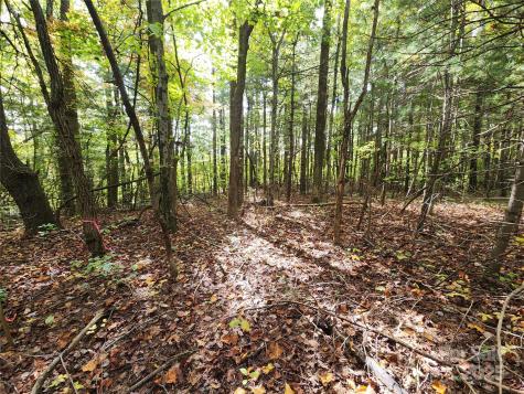 99999 N Pointe Drive Zirconia NC 28790