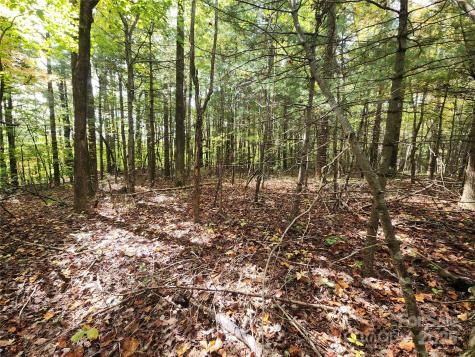 99999 N Pointe Drive Zirconia NC 28790