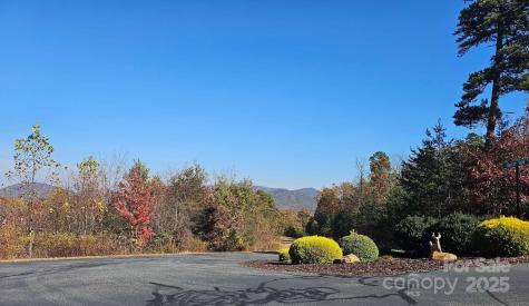 1211 Mountain Vista Drive Nebo NC 28761