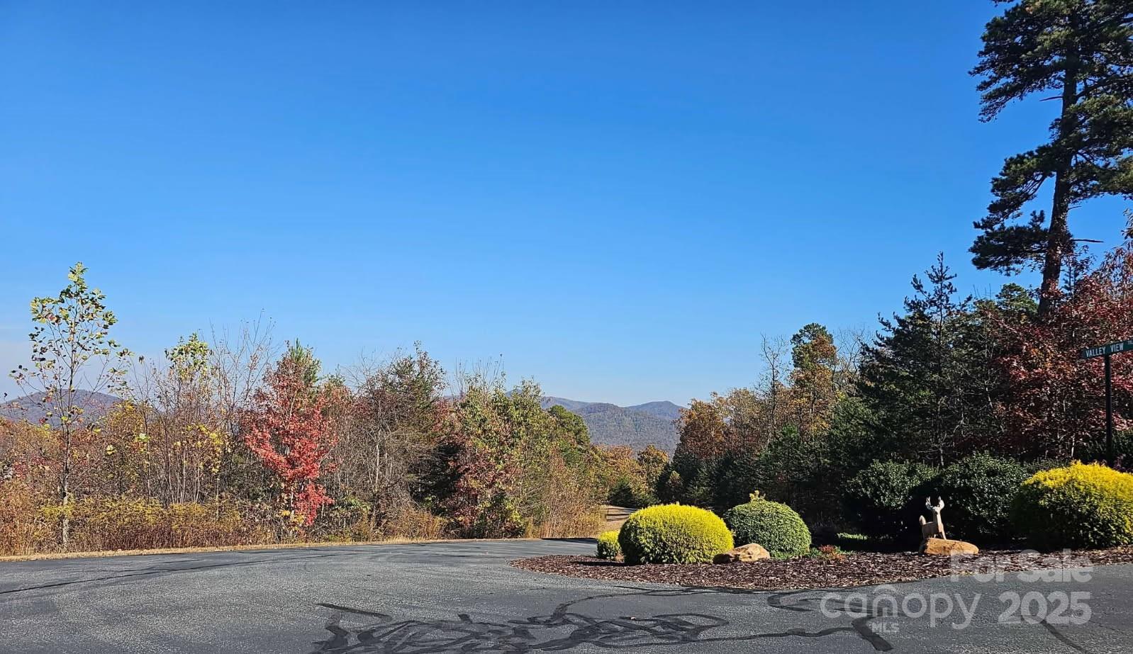 1211 Mountain Vista Drive Nebo NC 28761