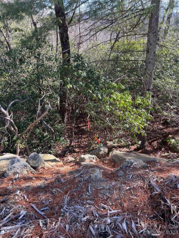 00 Willow Run Lane Zirconia NC 28790