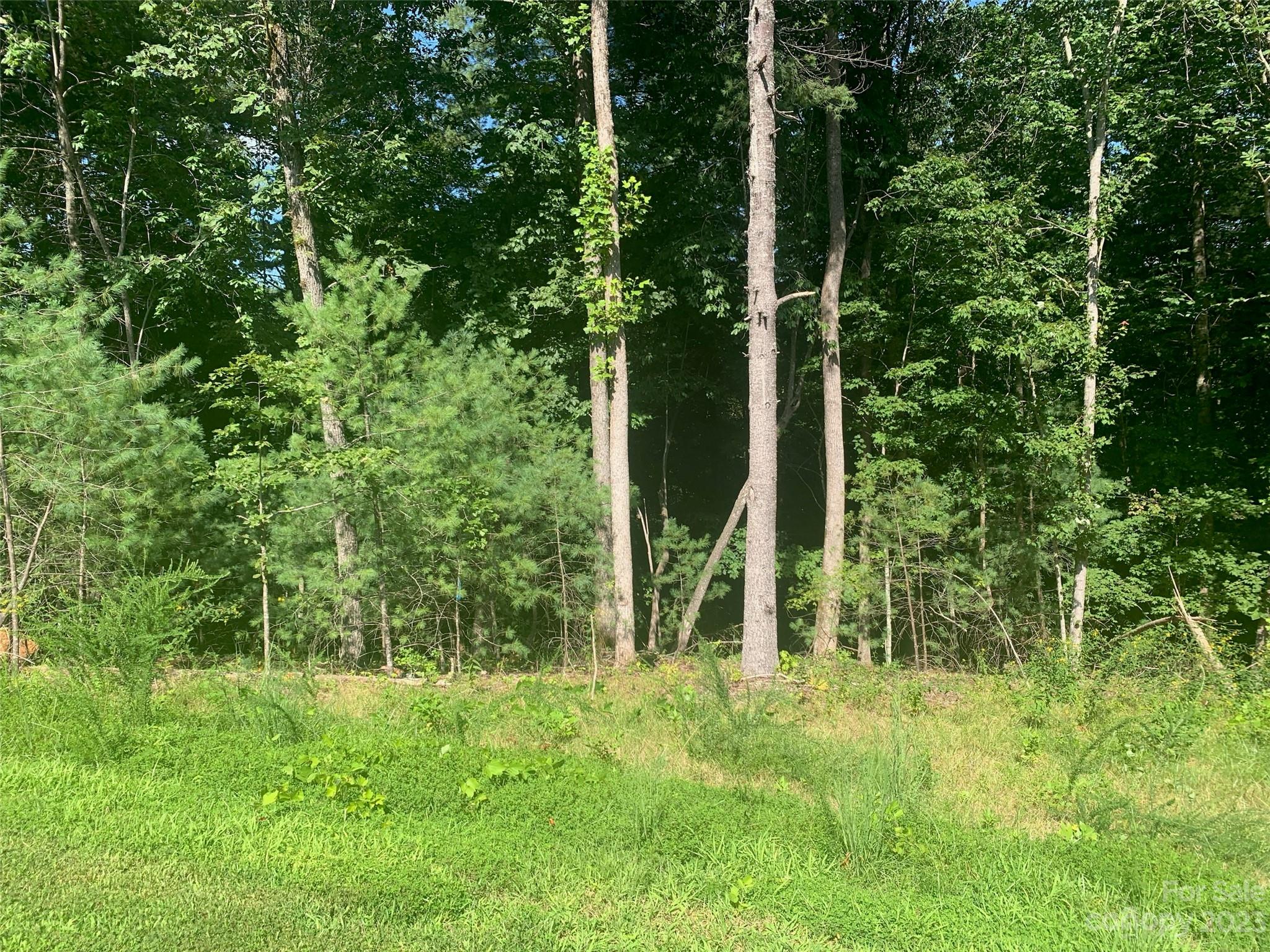 3.32 Acres Lot 74 Round Mountain Parkway Lenoir NC 28645