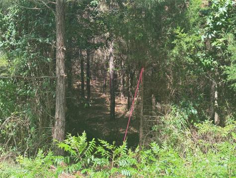 0000 Jackson Road W Chesterfield SC 29709