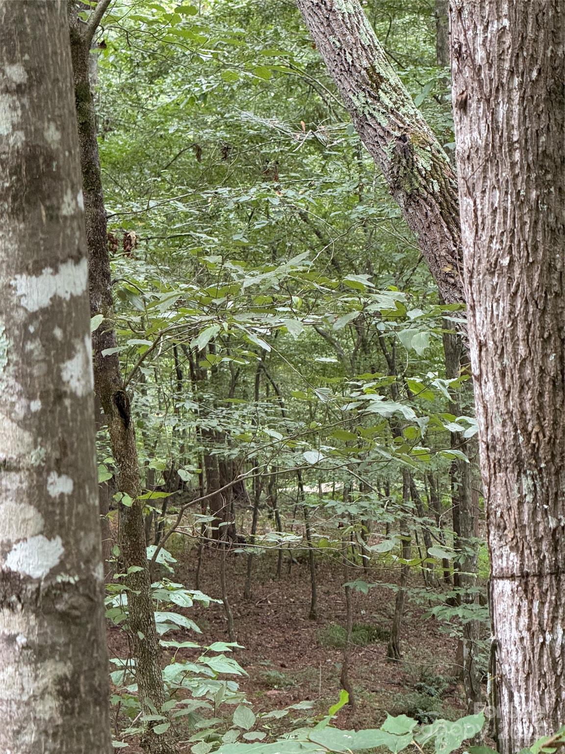 Lot 18 Zinzendorf Circle Moravian Falls NC 28654