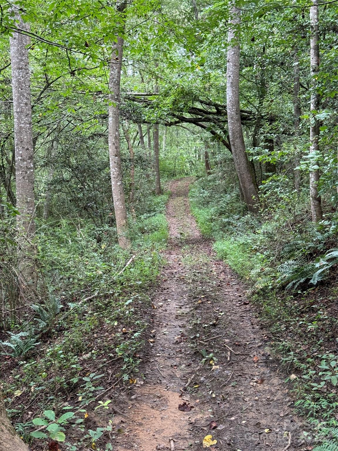 Lot 18 Zinzendorf Circle Moravian Falls NC 28654