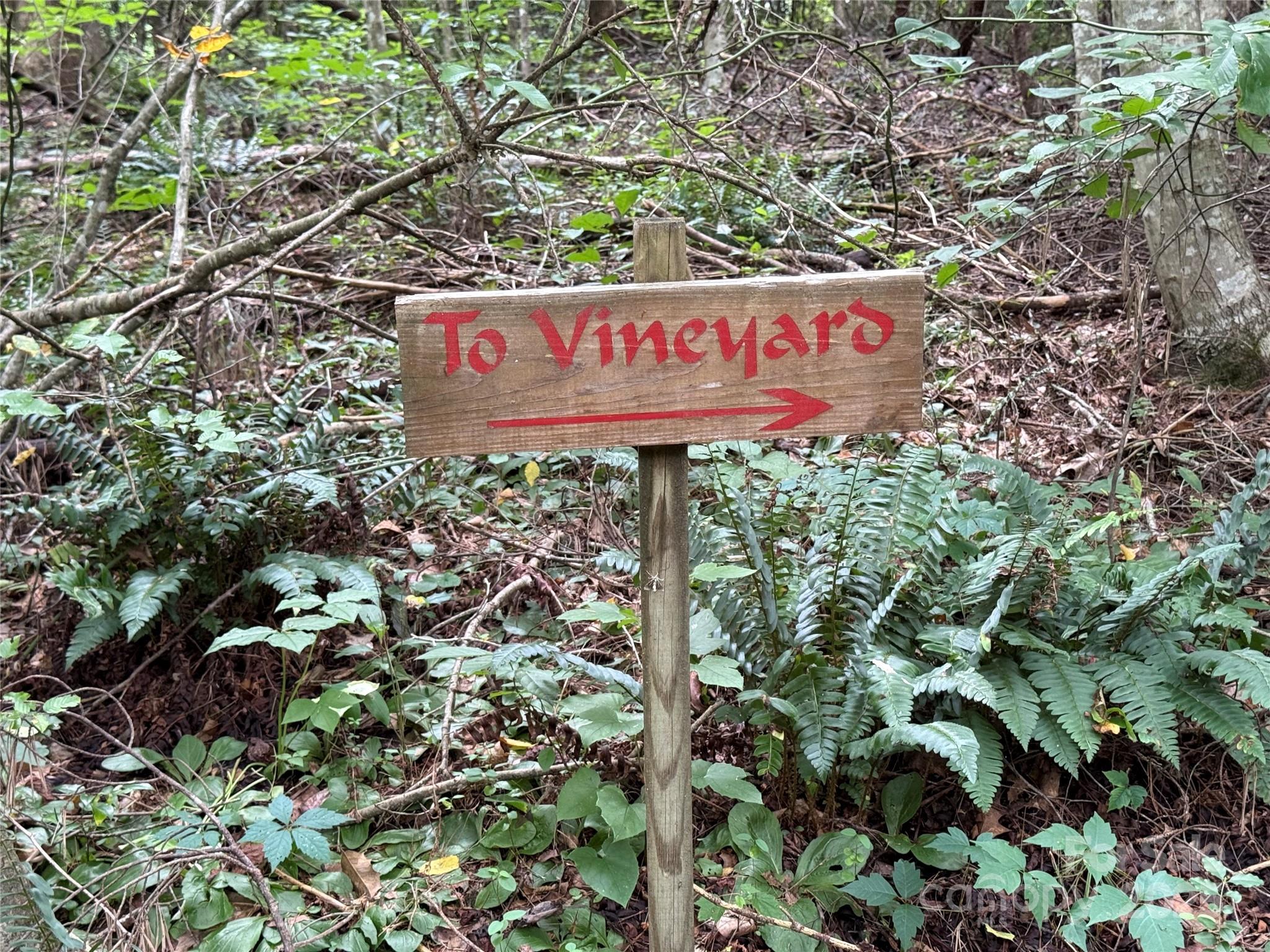 Lot 18 Zinzendorf Circle Moravian Falls NC 28654
