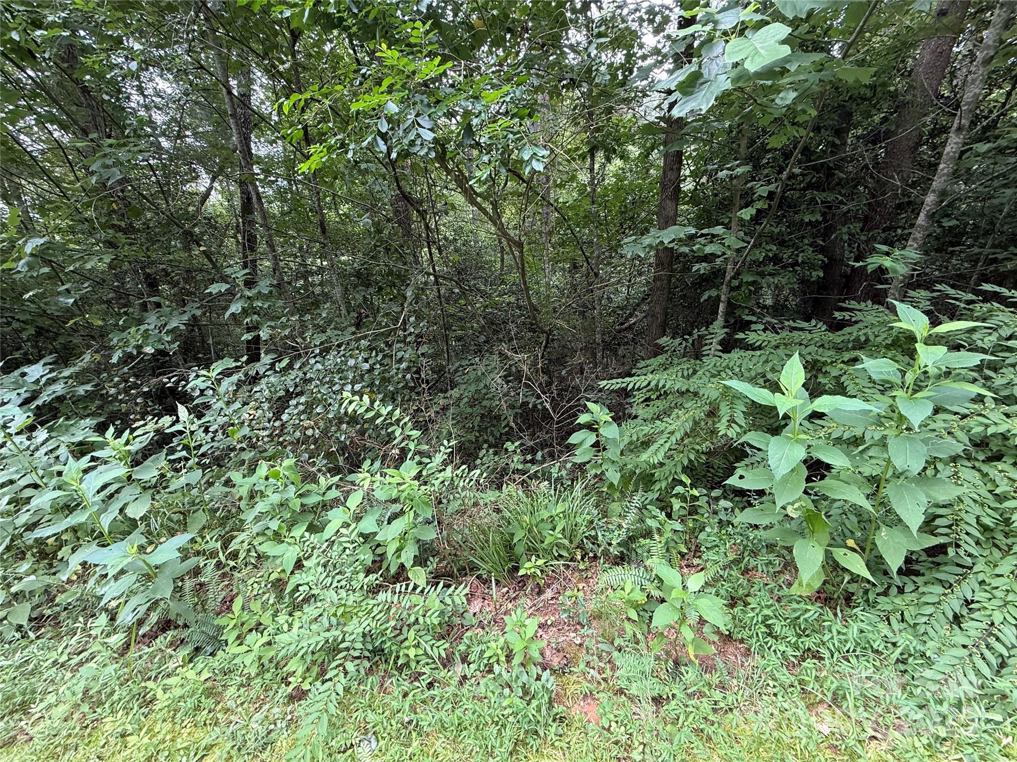 Lot 18 Zinzendorf Circle Moravian Falls NC 28654