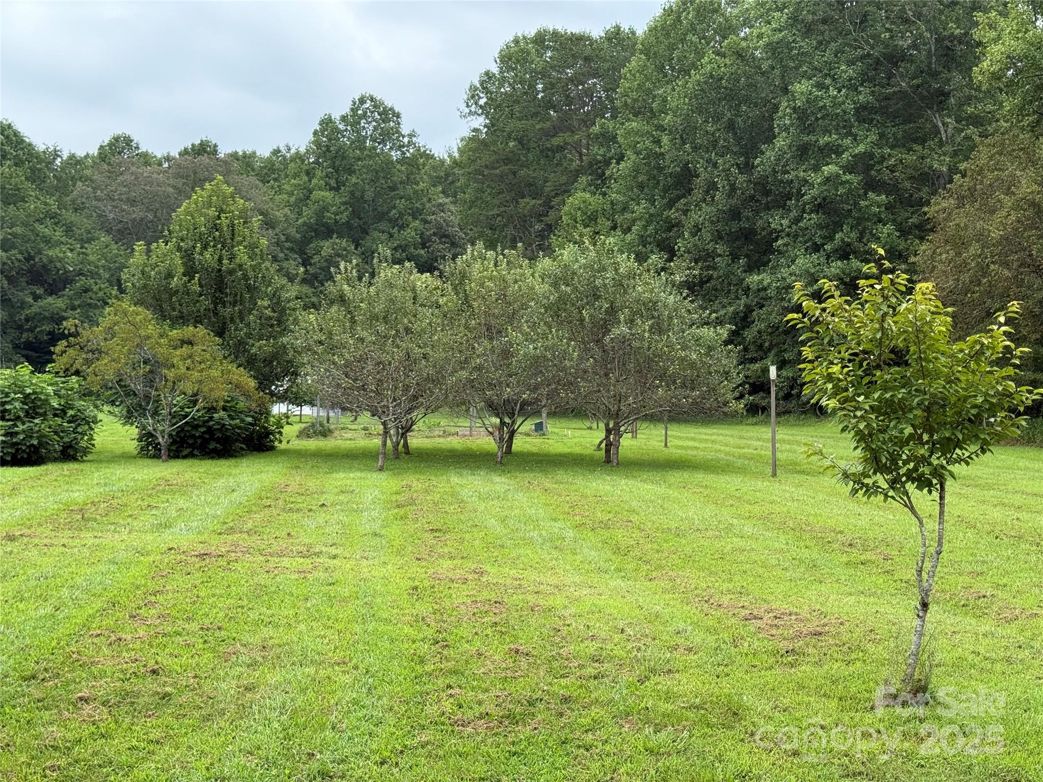 Lot 18 Zinzendorf Circle Moravian Falls NC 28654