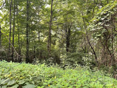 00 Friendly Acres Drive Waynesville NC 28786