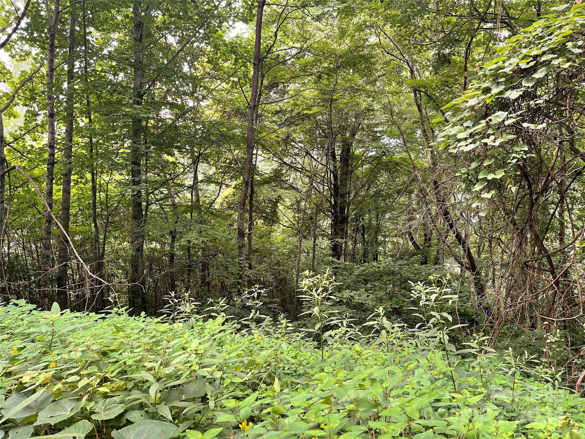 00 Friendly Acres Drive Waynesville NC 28786