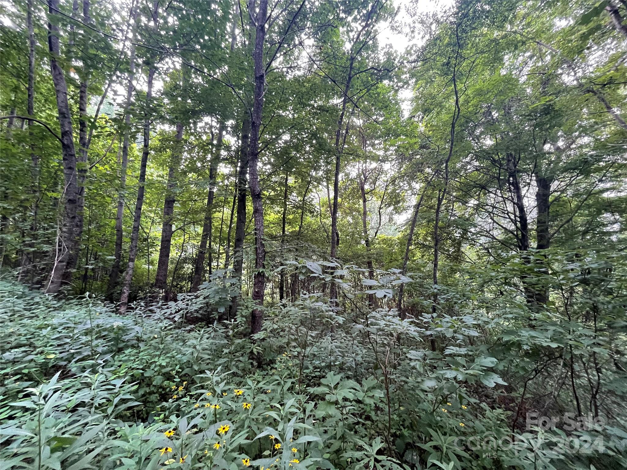 00 Friendly Acres Drive Waynesville NC 28786