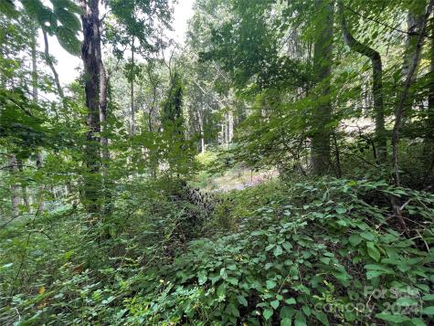 00 Friendly Acres Drive Waynesville NC 28786