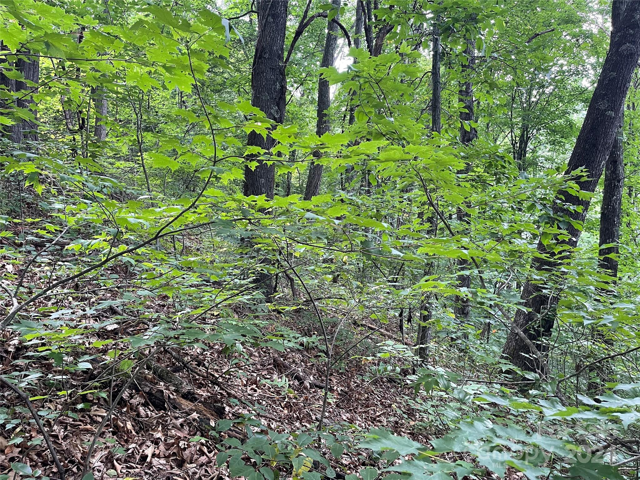 00 Friendly Acres Drive Waynesville NC 28786