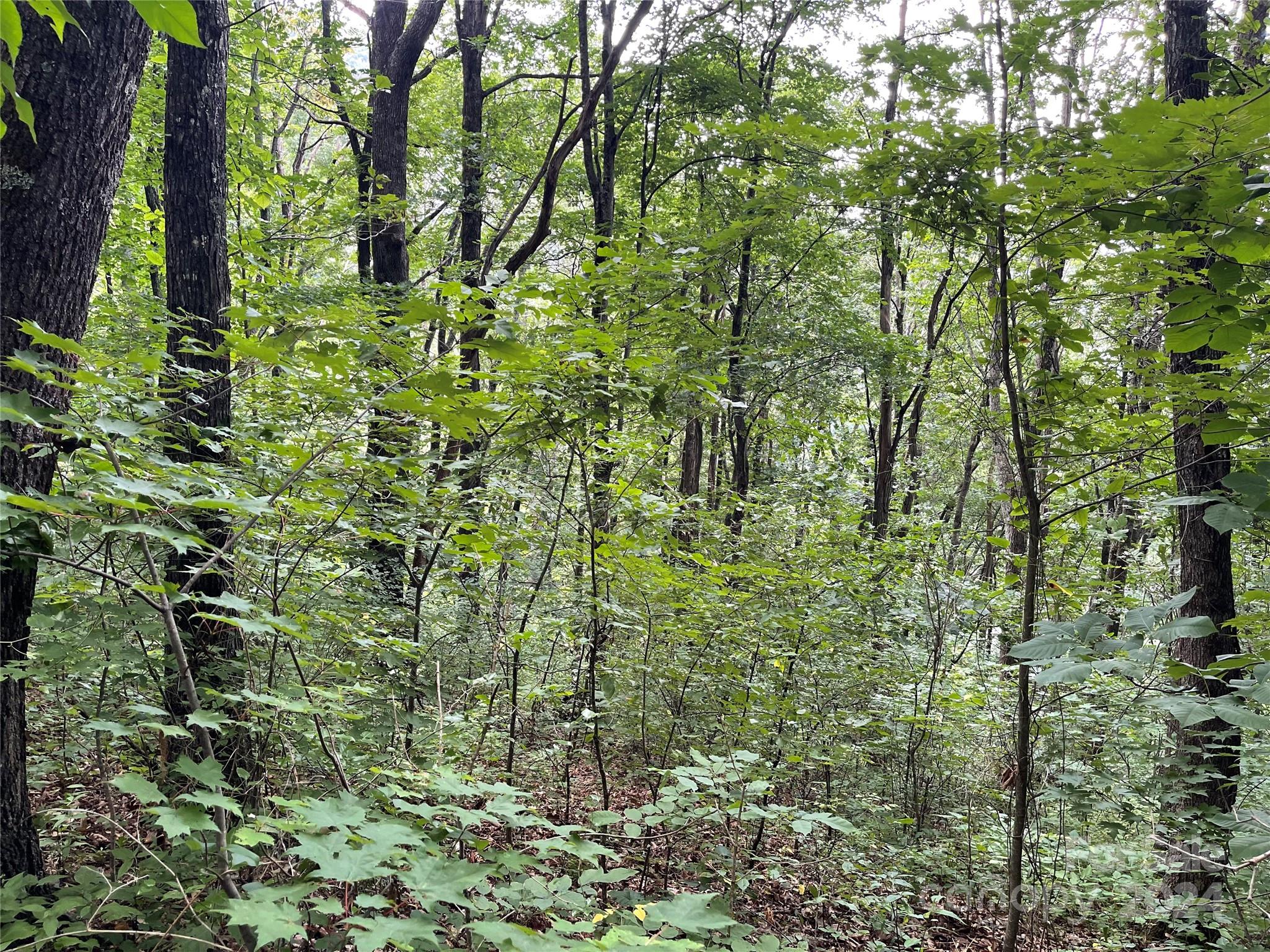 00 Friendly Acres Drive Waynesville NC 28786