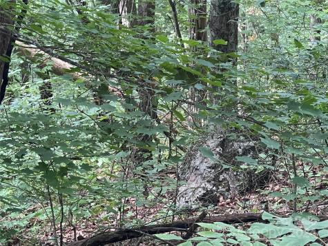 00 Friendly Acres Drive Waynesville NC 28786