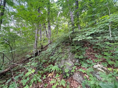 00 Friendly Acres Drive Waynesville NC 28786