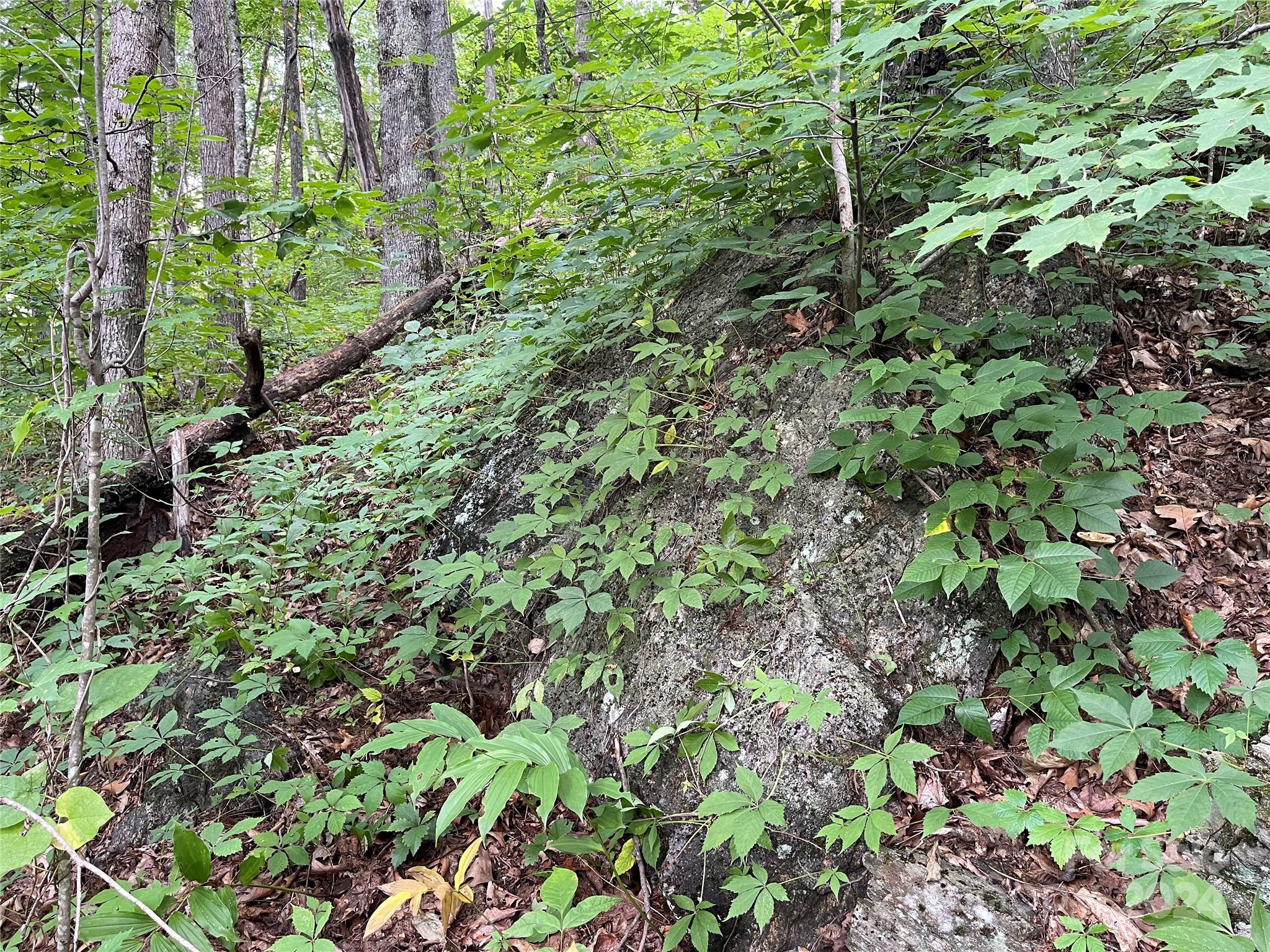 00 Friendly Acres Drive Waynesville NC 28786