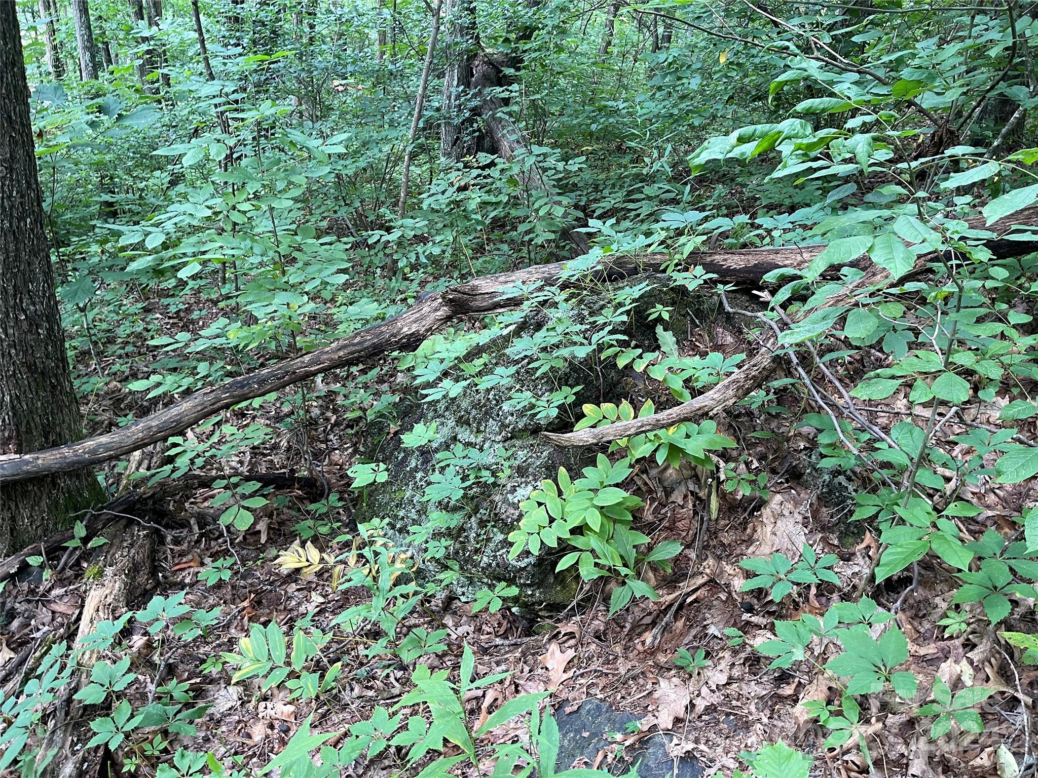 00 Friendly Acres Drive Waynesville NC 28786