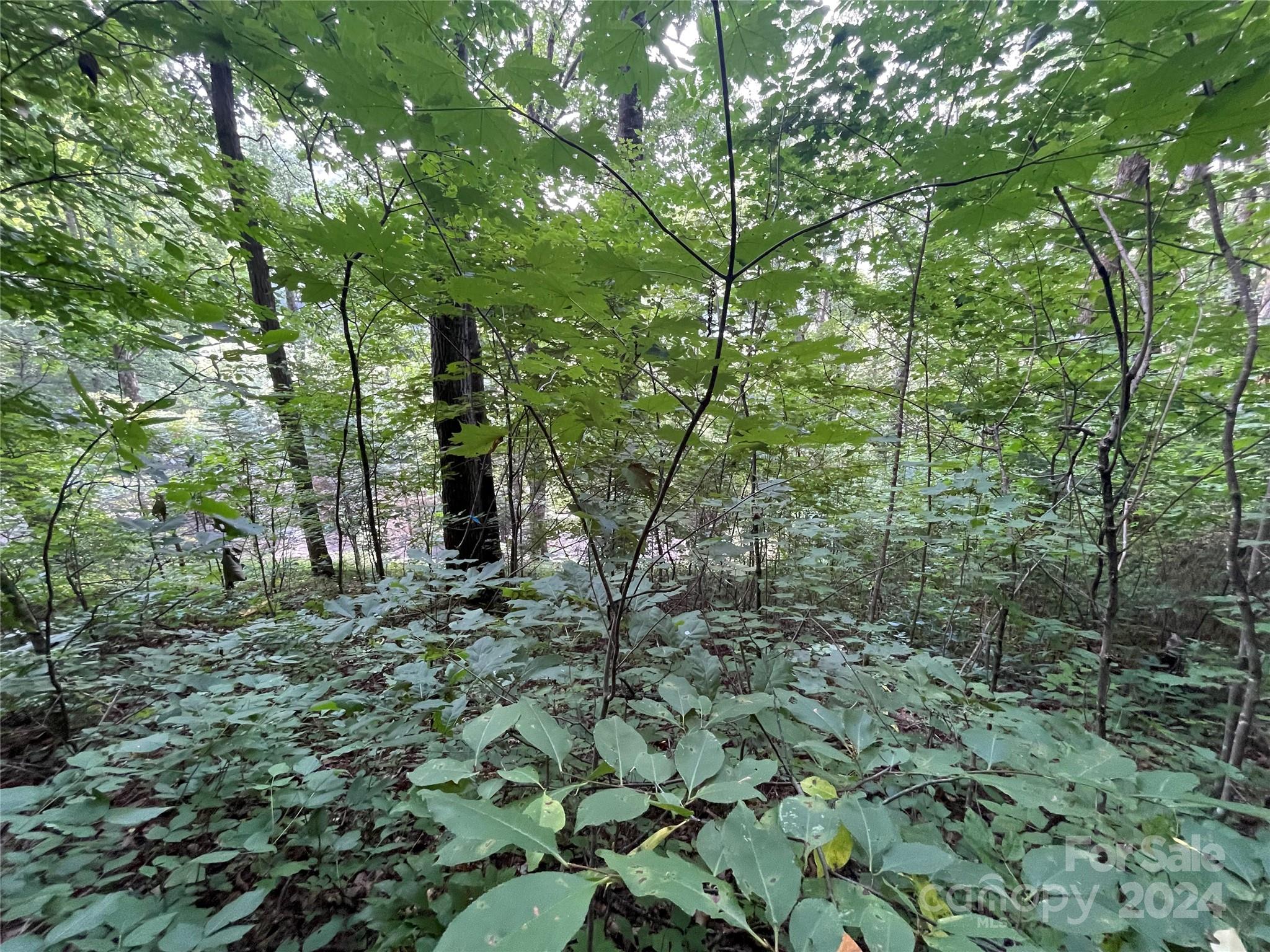 00 Friendly Acres Drive Waynesville NC 28786