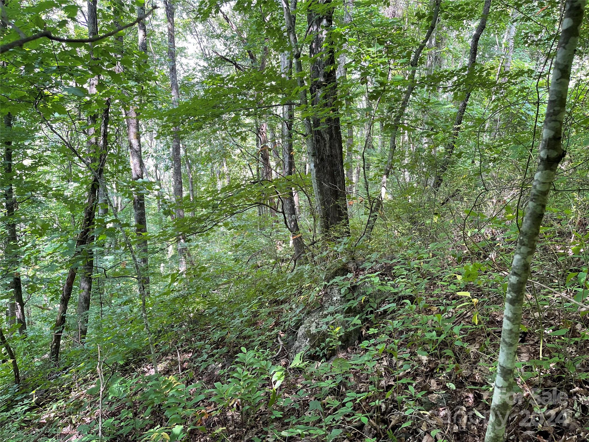 00 Friendly Acres Drive Waynesville NC 28786