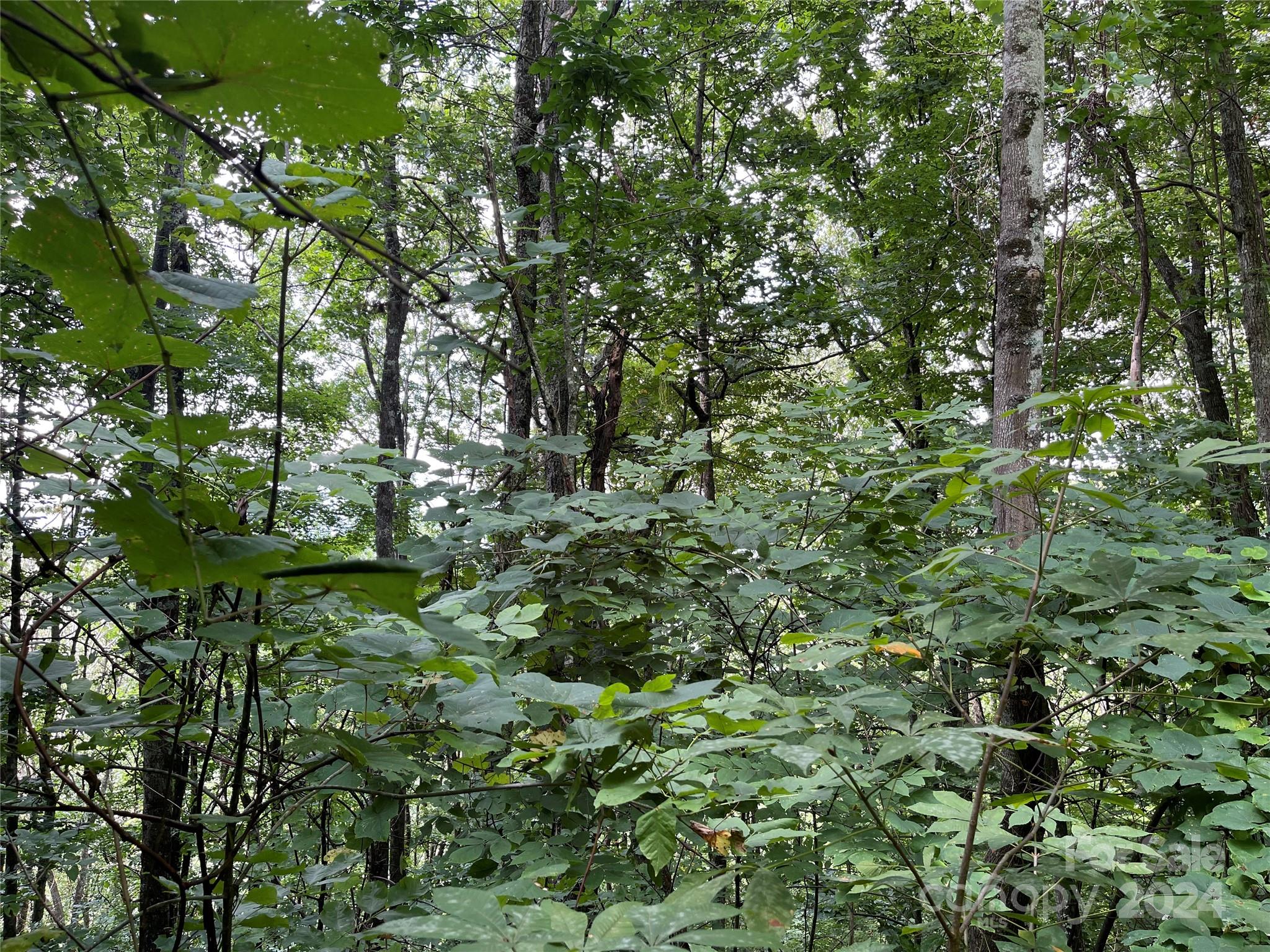 00 Friendly Acres Drive Waynesville NC 28786
