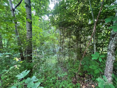 00 Friendly Acres Drive Waynesville NC 28786