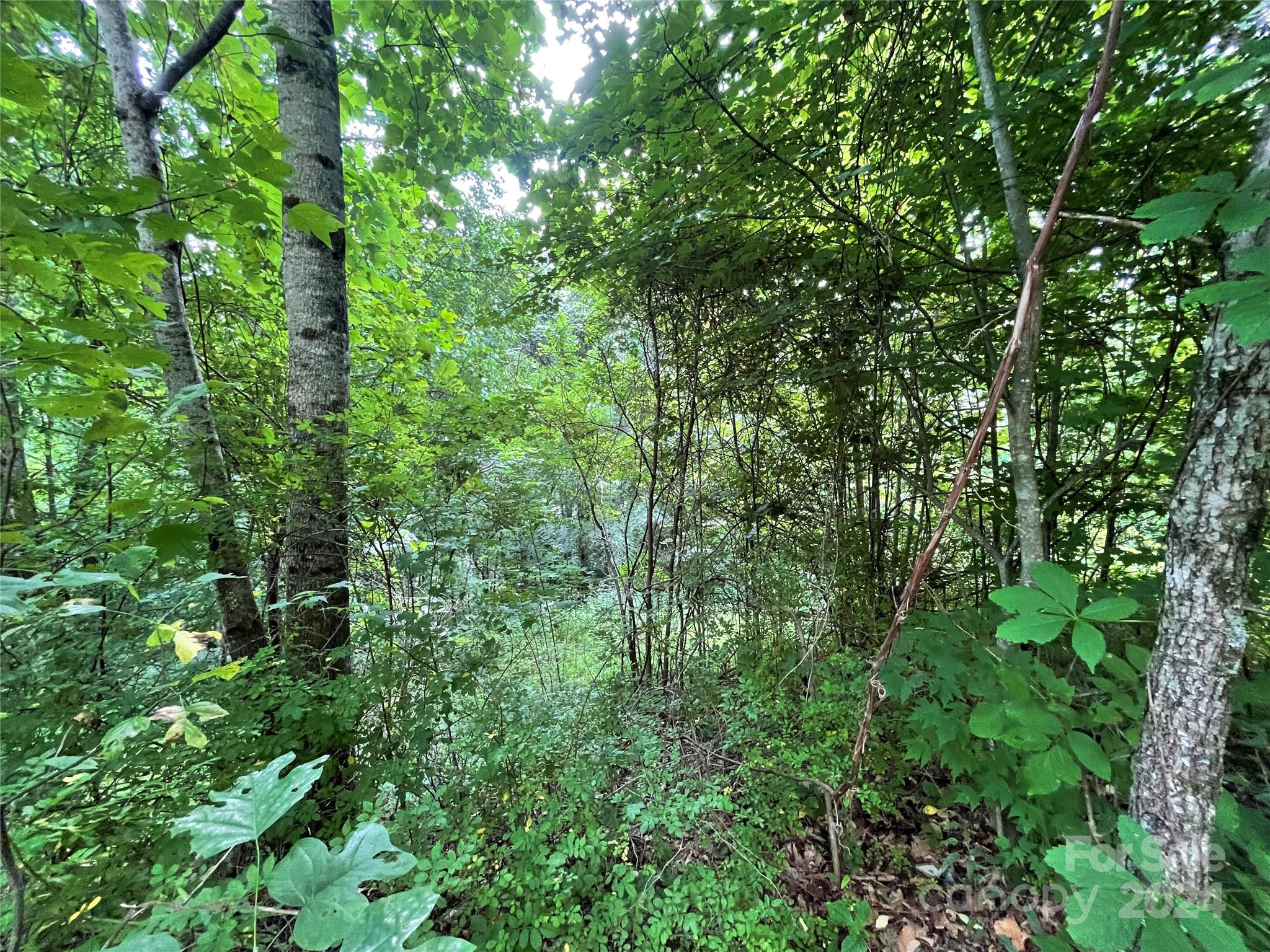 00 Friendly Acres Drive Waynesville NC 28786