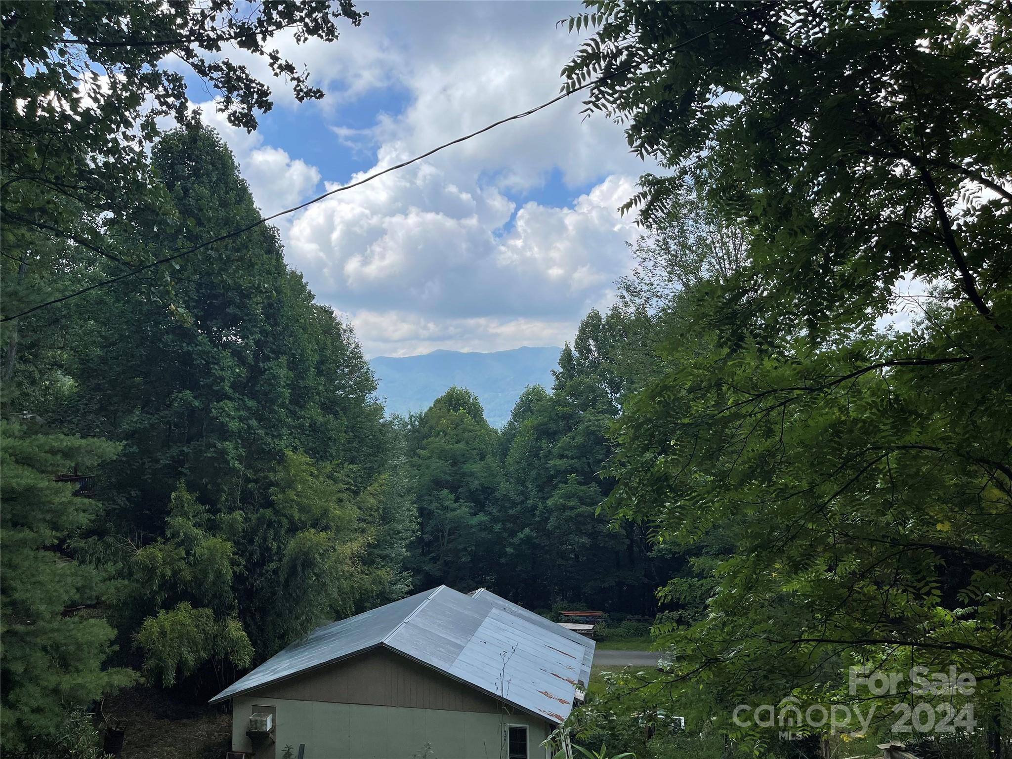 00 Friendly Acres Drive Waynesville NC 28786