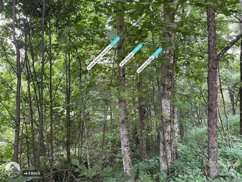 00 Friendly Acres Drive Waynesville NC 28786