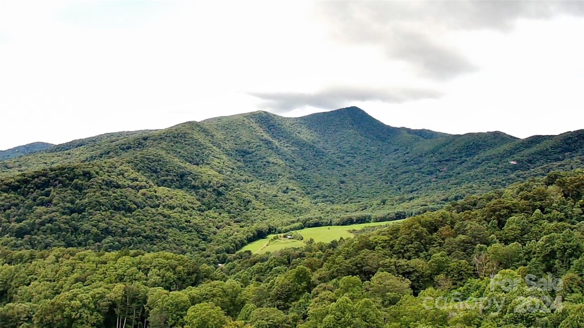 00 Friendly Acres Drive Waynesville NC 28786