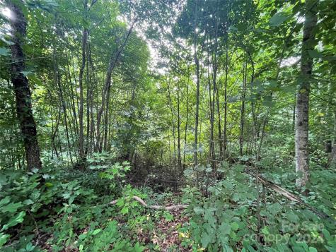 00 Friendly Acres Drive Waynesville NC 28786