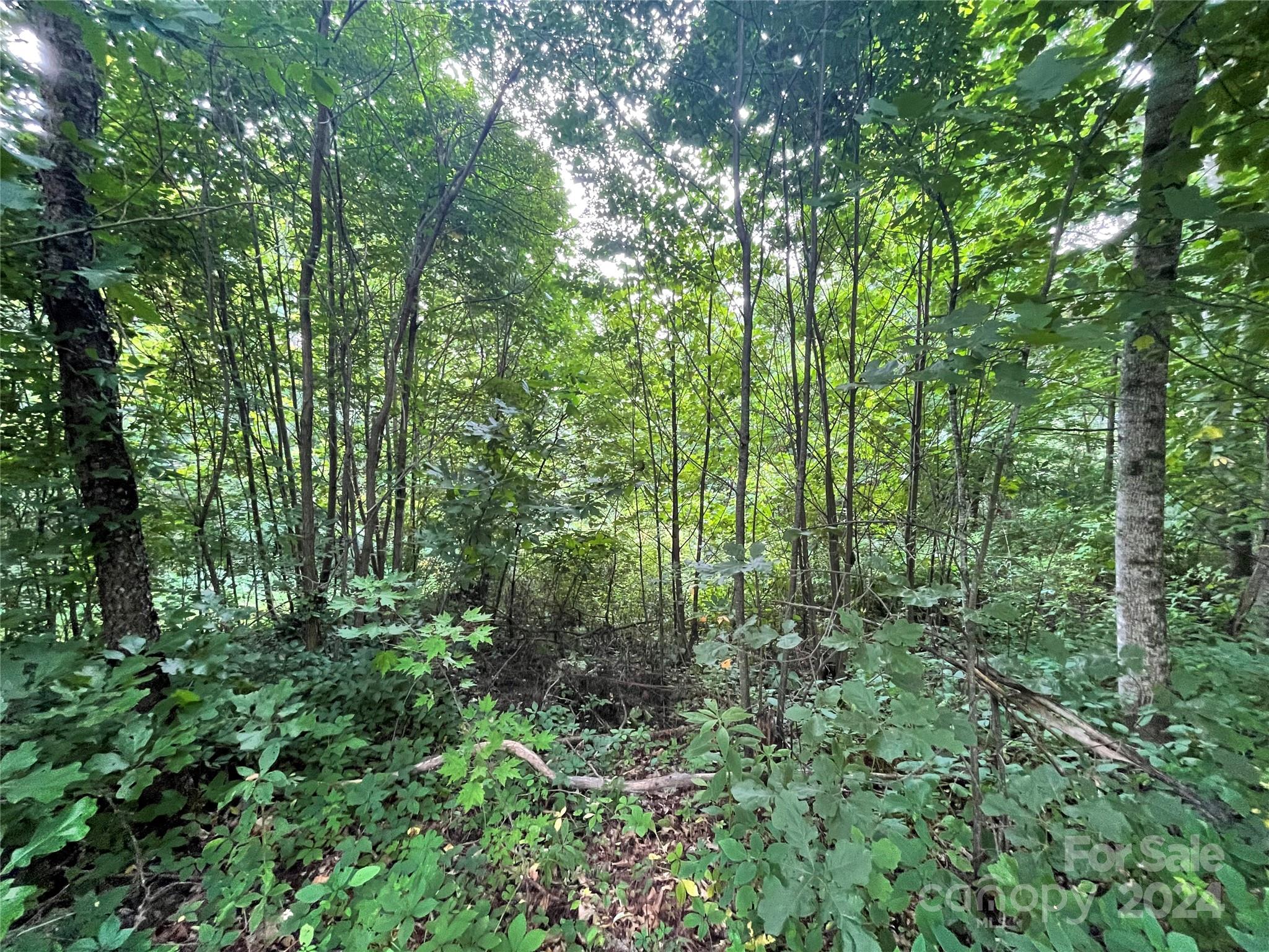 00 Friendly Acres Drive Waynesville NC 28786